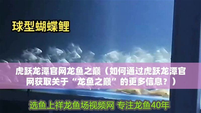 虎躍龍潭官網龍魚之巔（如何通過虎躍龍潭官網獲取關于“龍魚之巔”的更多信息？）
