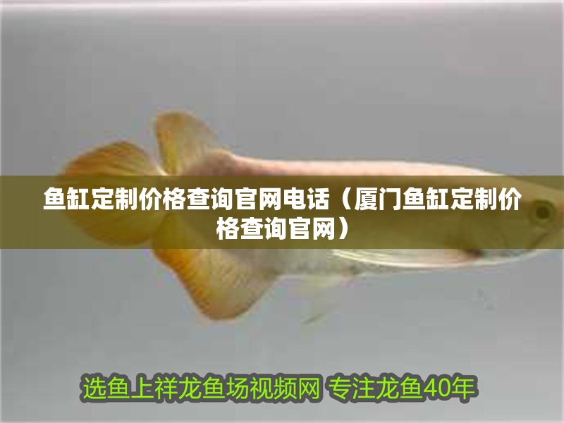 魚缸定制價格查詢官網電話（廈門魚缸定制價格查詢官網）