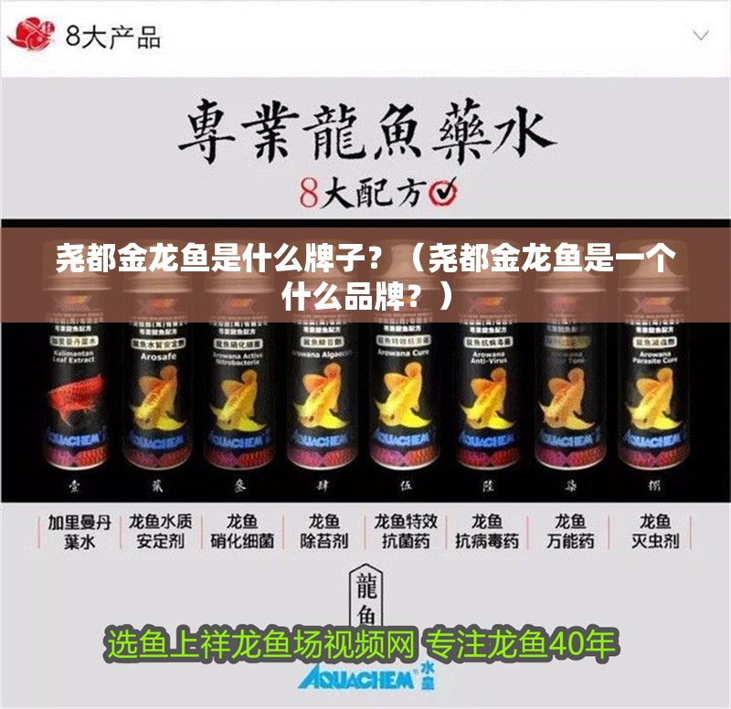 堯都金龍魚是什么牌子？（堯都金龍魚是一個什么品牌？）