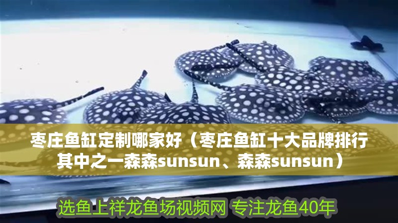 棗莊魚缸定制哪家好（棗莊魚缸十大品牌排行其中之一森森sunsun、森森sunsun）