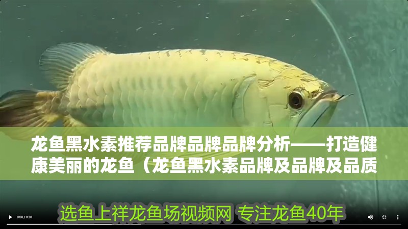 龍魚黑水素推薦品牌品牌品牌分析——打造健康美麗的龍魚（龍魚黑水素品牌及品牌及品質分析——打造健康美麗的龍魚）