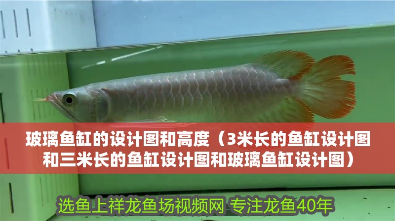玻璃魚缸的設計圖和高度（3米長的魚缸設計圖和三米長的魚缸設計圖和玻璃魚缸設計圖）