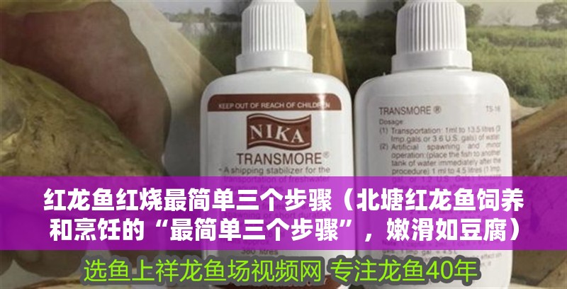 紅龍魚紅燒最簡單三個步驟（北塘紅龍魚飼養(yǎng)和烹飪的“最簡單三個步驟”，嫩滑如豆腐）