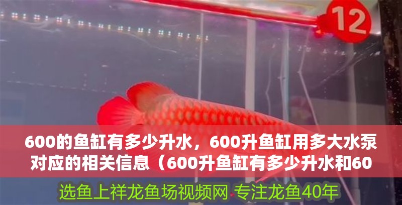 600的魚(yú)缸有多少升水，600升魚(yú)缸用多大水泵對(duì)應(yīng)的相關(guān)信息（600升魚(yú)缸有多少升水和600升魚(yú)缸用多大水泵對(duì)應(yīng)的信息）