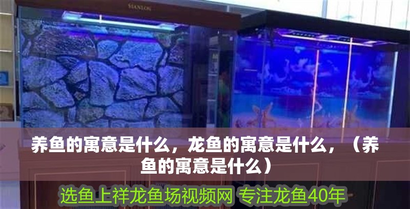 養(yǎng)魚的寓意是什么，龍魚的寓意是什么，（養(yǎng)魚的寓意是什么）