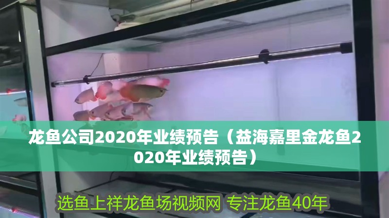 龍魚公司2020年業績預告（益海嘉里金龍魚2020年業績預告）