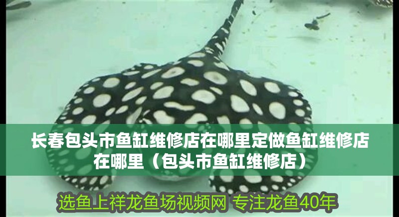 魚缸用增氧泵價格是多少:魚缸增氧機-xtrac增氧機-xtrac增氧機 長春包頭市魚缸維修店在哪里定做魚缸維修店在哪里(包頭市魚缸維修店) 觀賞魚百科 長春包頭市魚缸維修店在哪里定做魚缸維修店在哪里(包頭市魚缸維修店) 長春包頭市魚缸維修店在哪里定做魚缸維修店在哪里(包頭市魚缸維修店) 觀賞魚百科