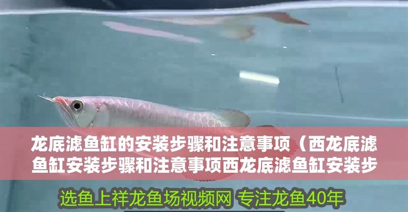 龍底濾魚缸的安裝步驟和注意事項（西龍底濾魚缸安裝步驟和注意事項西龍底濾魚缸安裝步驟）