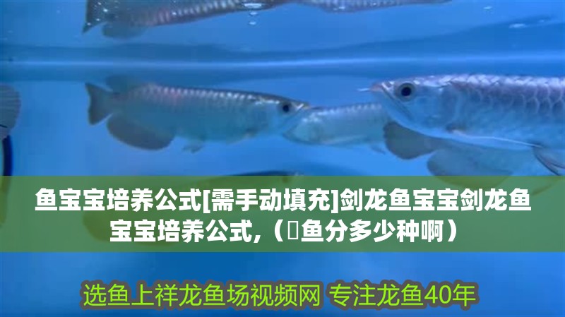 魚寶寶培養(yǎng)公式[需手動填充]劍龍魚寶寶劍龍魚寶寶培養(yǎng)公式,（魟魚分多少種啊）