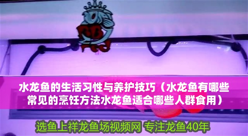 水龍魚的生活習性與養(yǎng)護技巧（水龍魚有哪些常見的烹飪方法水龍魚適合哪些人群食用）