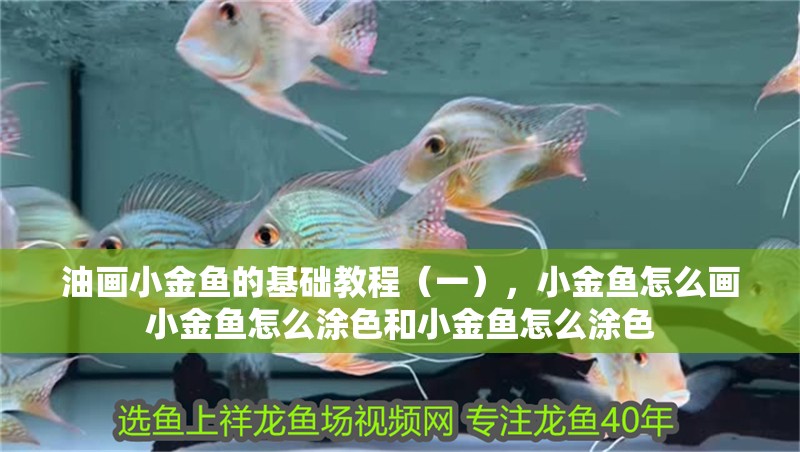 油畫小金魚的基礎教程（一），小金魚怎么畫小金魚怎么涂色和小金魚怎么涂色
