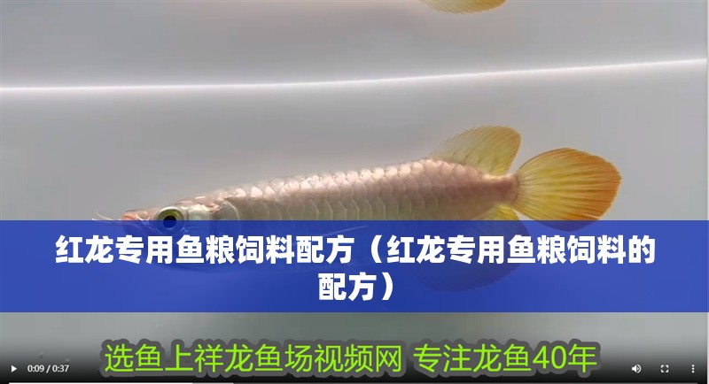紅龍專用魚糧飼料配方（紅龍專用魚糧飼料的配方）