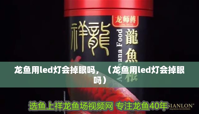 龍魚用led燈會掉眼嗎，（龍魚用led燈會掉眼嗎）