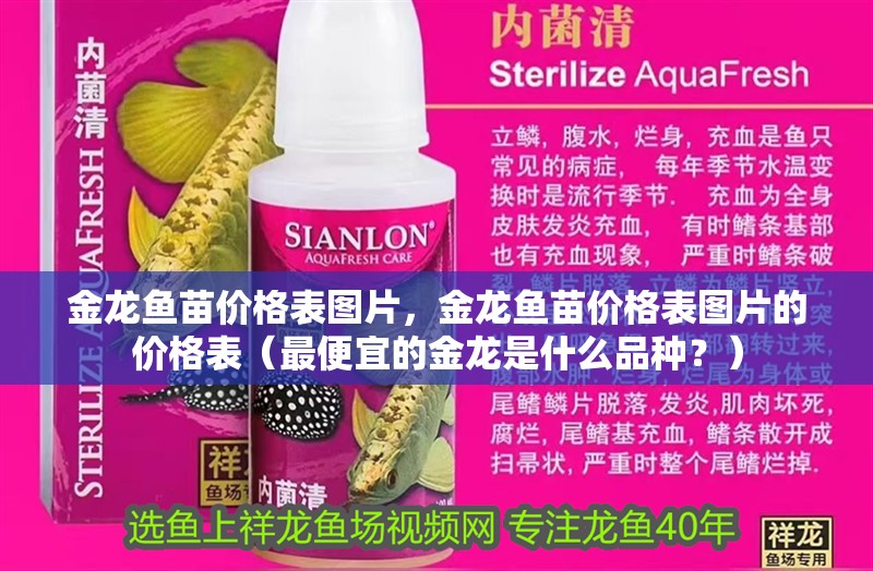 金龍魚苗價(jià)格表圖片，金龍魚苗價(jià)格表圖片的價(jià)格表（最便宜的金龍是什么品種？）