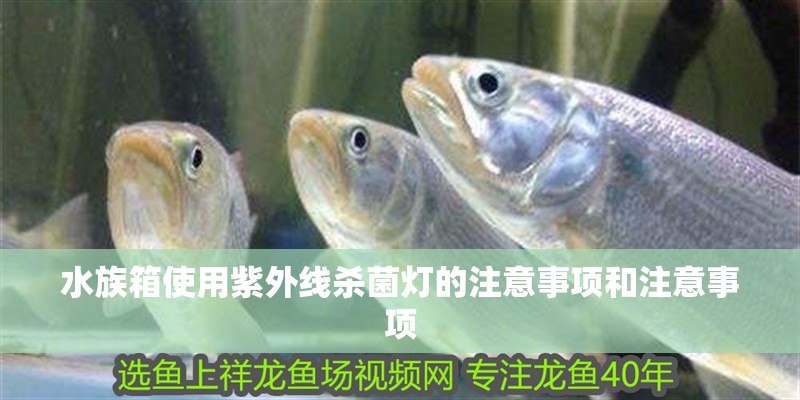 水族箱使用紫外線殺菌燈的注意事項和注意事項