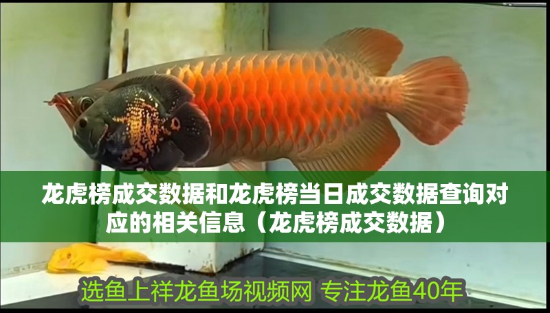 龍虎榜成交數據和龍虎榜當日成交數據查詢對應的相關信息（龍虎榜成交數據）