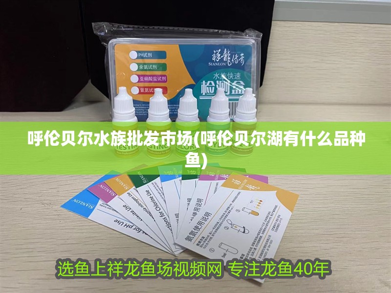 呼倫貝爾水族批發市場(呼倫貝爾湖有什么品種魚)