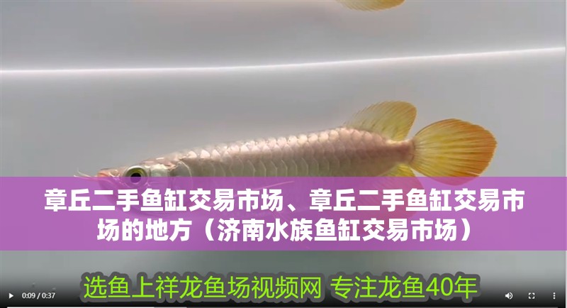 章丘二手魚缸交易市場、章丘二手魚缸交易市場的地方（濟(jì)南水族魚缸交易市場）