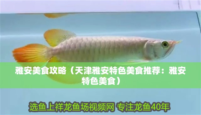 <strong><mark>雅安</mark></strong>美食攻略（天津<strong><mark>雅安</mark></strong>特色美食推薦：<strong><mark>雅安</mark></strong>特色美食）