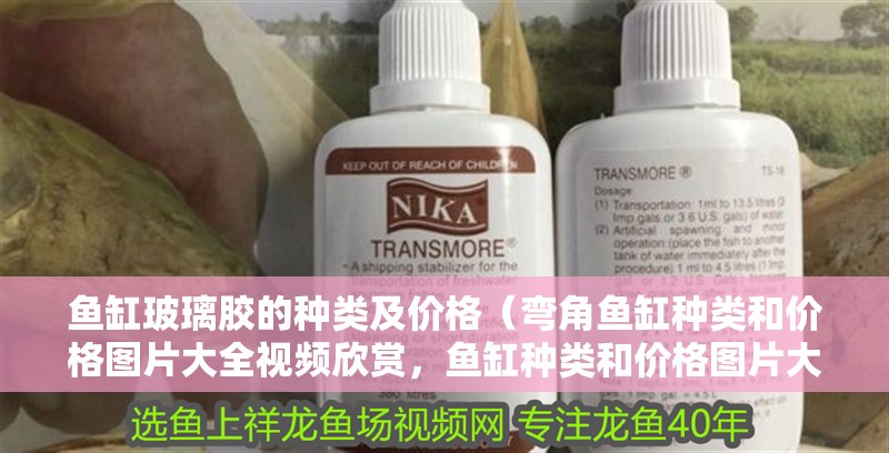 魚缸玻璃膠的種類及價格（彎角魚缸種類和價格圖片大全視頻欣賞，魚缸種類和價格圖片大全）