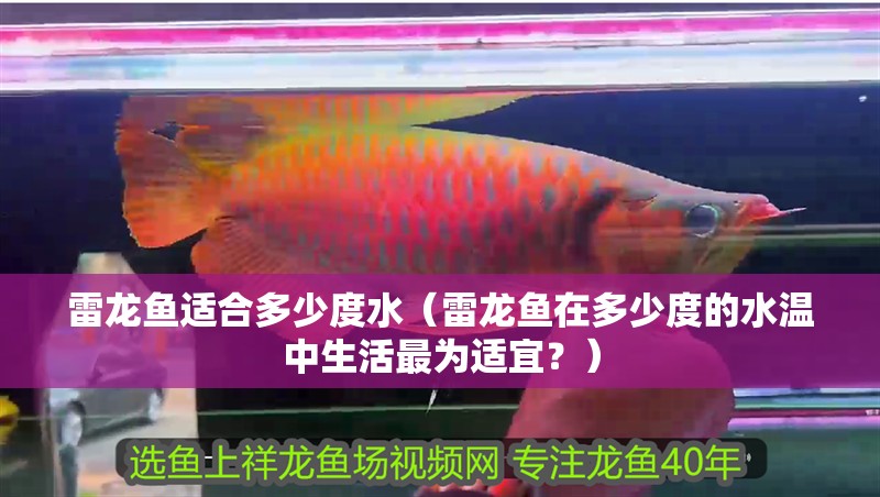 雷龍魚適合多少度水（雷龍魚在多少度的水溫中生活最為適宜？）