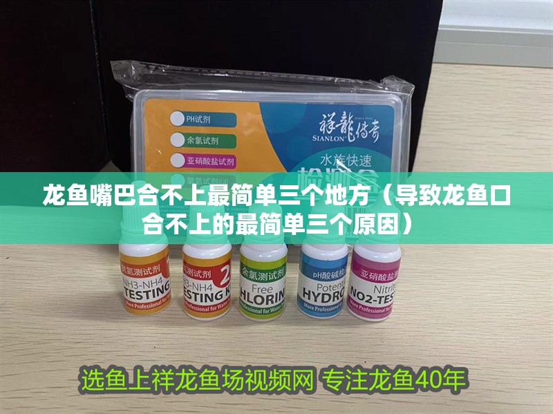 龍魚嘴巴合不上最簡單三個(gè)地方（導(dǎo)致龍魚口合不上的最簡單三個(gè)原因）
