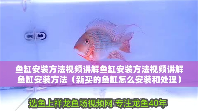 魚缸安裝方法視頻講解魚缸安裝方法視頻講解魚缸安裝方法（新買的魚缸怎么安裝和處理）