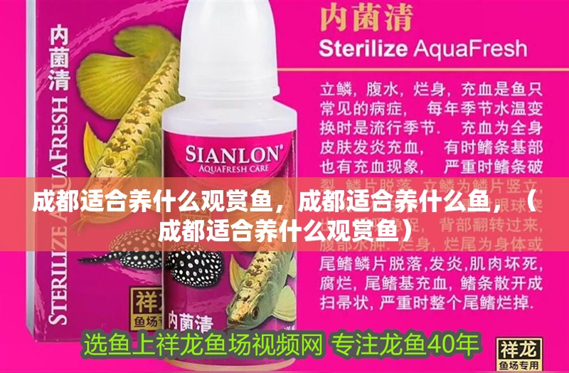 成都適合養什么觀賞魚，成都適合養什么魚，（成都適合養什么觀賞魚）