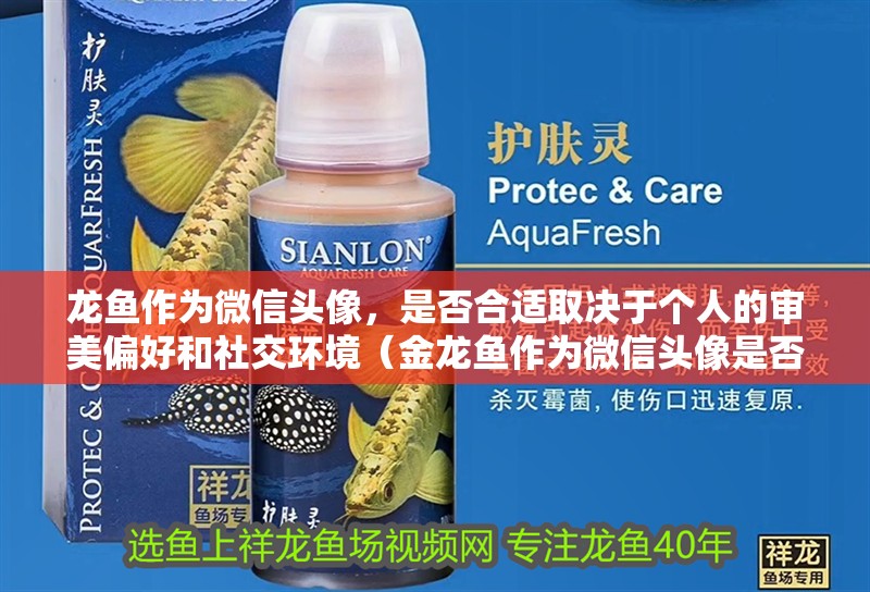 龍魚作為微信頭像，是否合適取決于個人的審美偏好和社交環境（金龍魚作為微信頭像是否合適）