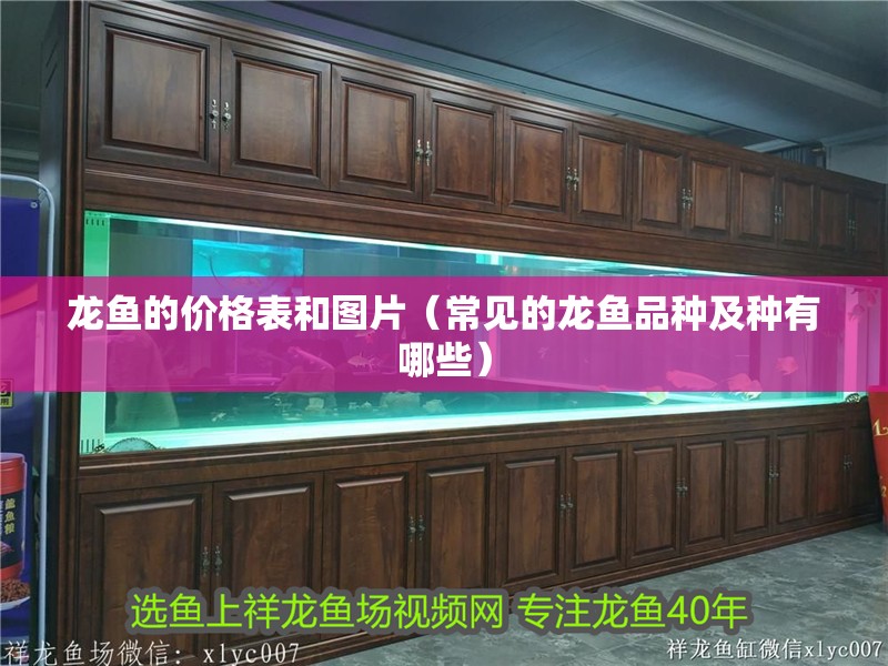 龍魚的價格表和圖片（常見的龍魚品種及種有哪些） 龍魚的價格表和圖片（常見的龍魚品種及種有哪些） 觀賞魚百科 第2張