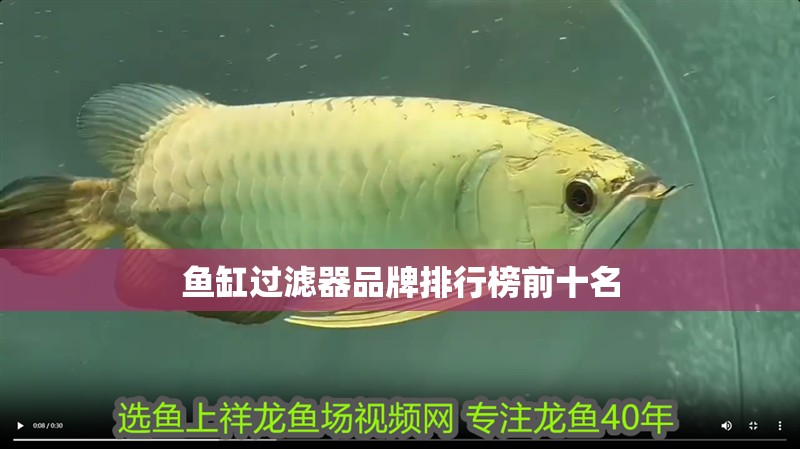 魚缸過濾器品牌排行榜前十名