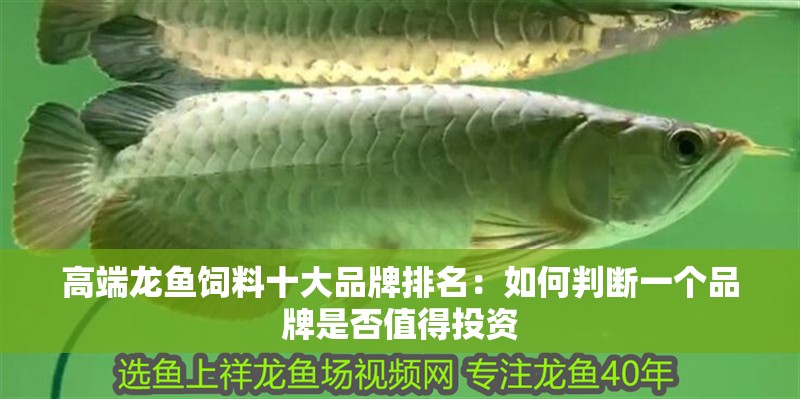 高端龍魚飼料十大品牌排名：如何判斷一個品牌是否值得投資