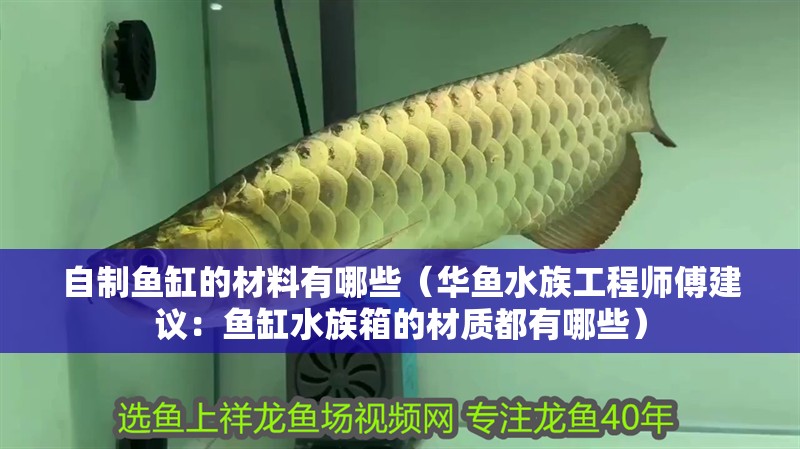 自制魚缸的材料有哪些（華魚水族工程師傅建議：魚缸水族箱的材質都有哪些）