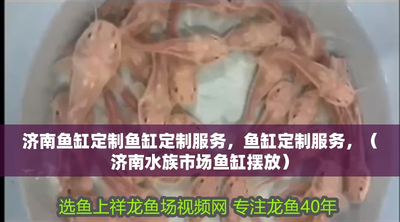 濟(jì)南魚缸定制魚缸定制服務(wù)，魚缸定制服務(wù)，（濟(jì)南水族市場魚缸擺放）