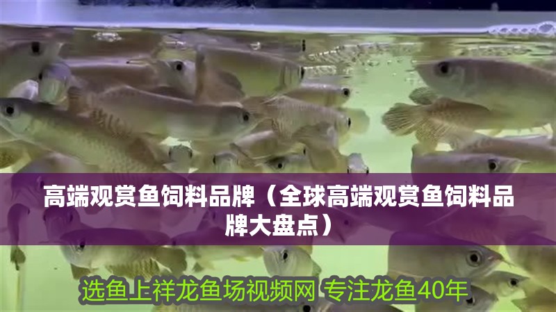 高端觀賞魚飼料品牌（全球高端觀賞魚飼料品牌大盤點）