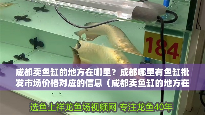 成都賣魚缸的地方在哪里？成都哪里有魚缸批發市場價格對應的信息（成都賣魚缸的地方在哪里啊，成都哪里有魚缸批發市場價格對應的相關信息）