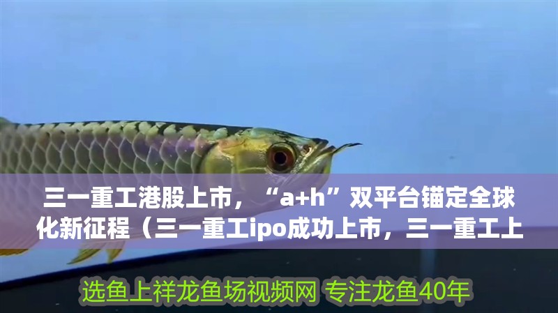 三一重工港股上市，“a+h”雙平臺錨定全球化新征程（三一重工ipo成功上市，三一重工上市后有哪些重大舉措）