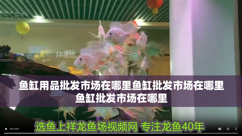 魚缸用品批發市場在哪里魚缸批發市場在哪里魚缸批發市場在哪里