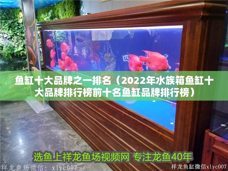 魚缸十大品牌之一排名（2022年水族箱魚缸十大品牌排行榜前十名魚缸品牌排行榜）