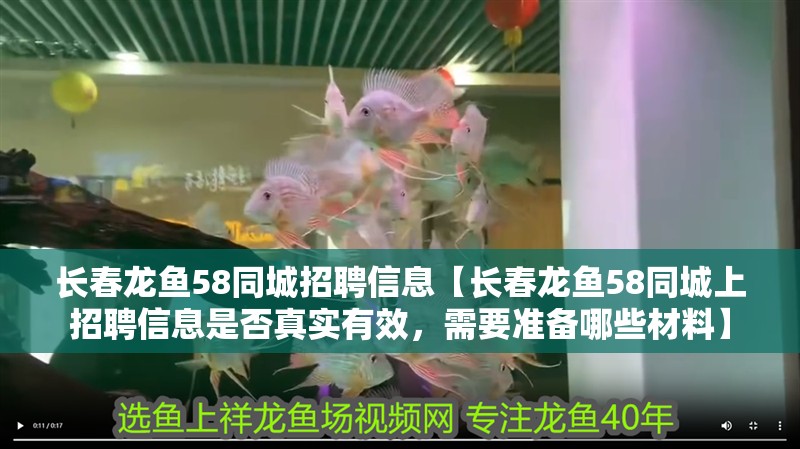 長春龍魚58同城招聘信息【長春龍魚58同城上招聘信息是否真實有效，需要準備哪些材料】