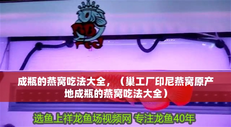 成瓶的燕窩吃法大全，（巢工廠印尼燕窩原產地成瓶的燕窩吃法大全）