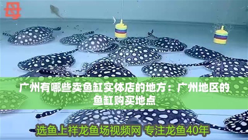 廣州有哪些賣魚缸實體店的地方：廣州地區的魚缸購買地點