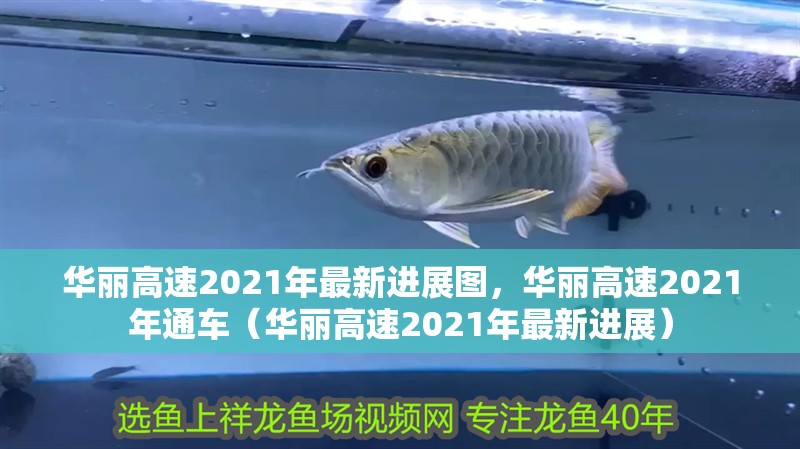 華麗高速2021年最新進展圖，華麗高速2021年通車（華麗高速2021年最新進展）