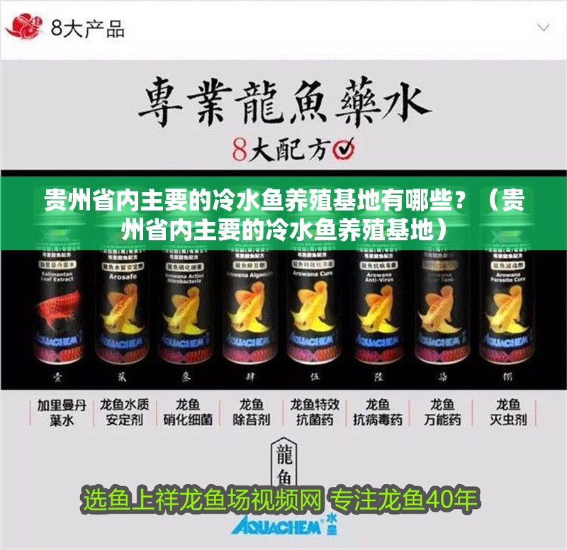 貴州省內主要的冷水魚養殖基地有哪些？（貴州省內主要的冷水魚養殖基地）