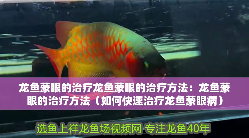 龍魚蒙眼的治療龍魚蒙眼的治療方法：龍魚蒙眼的治療方法（如何快速治療龍魚蒙眼病）