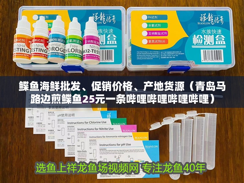 鰈魚(yú)海鮮批發(fā)、促銷價(jià)格、產(chǎn)地貨源（青島馬路邊煎鰈魚(yú)25元一條嗶哩嗶哩嗶哩嗶哩）