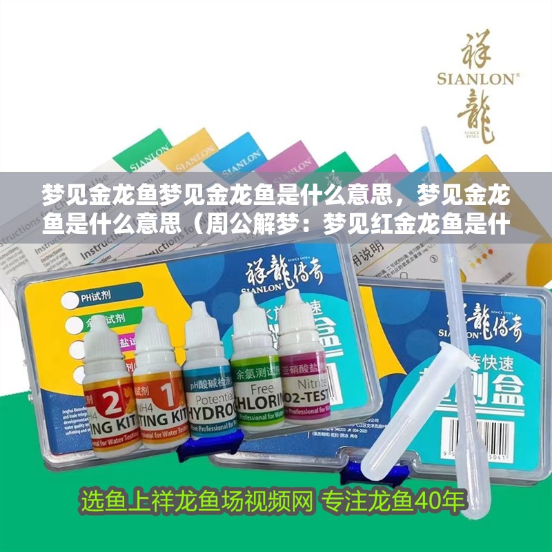夢見金龍魚夢見金龍魚是什么意思，夢見金龍魚是什么意思（周公解夢：夢見紅金龍魚是什么意思）