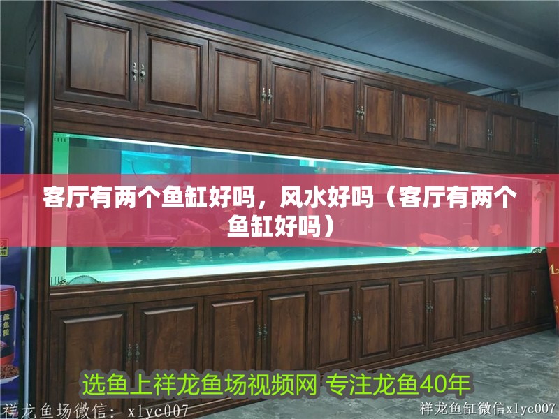 客廳有兩個(gè)魚(yú)缸好嗎，風(fēng)水好嗎（客廳有兩個(gè)魚(yú)缸好嗎）