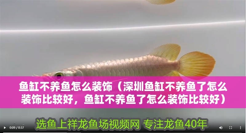 魚缸不養魚怎么裝飾（深圳魚缸不養魚了怎么裝飾比較好，魚缸不養魚了怎么裝飾比較好）