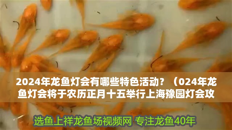 2024年龍魚燈會有哪些特色活動？（024年龍魚燈會將于農歷正月十五舉行上海豫園燈會攻略）